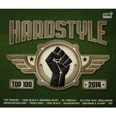 Afbeelding van Various Artists Hardstyle Top 100 2014 (2 CD)