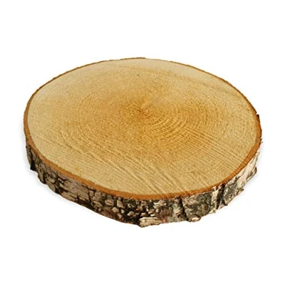 Afbeelding van matches21 Houten schijf berk echt hout berkenhout boomschijf decoratie voor &amp; DIY 1 stuks Ø 20 25 cm