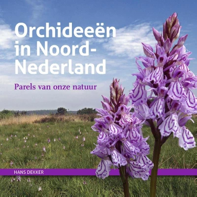 Afbeelding van Orchideeën in Noord Nederland (Hardback)