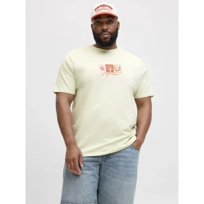 Afbeelding van JACK&amp;JONES JORCANGGU FRONT TEE SS CREW FST PLS Jongens T shirts