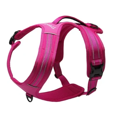 Afbeelding van TRUE LOVE Truelove Hondentuig met handvat zacht gewatteerd huisdierharnas vest, reflecterend materiaal, avontuurlijke training, sterke Oxford buitenlaag voor grotere honden TLH5551 (Fushcia, XL)