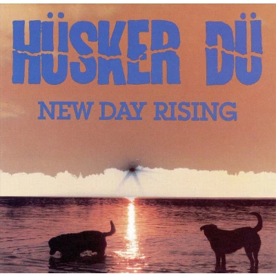 Afbeelding van New Day Rising