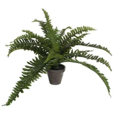 Afbeelding van Boston Varen Kunstplant in Bloempot Stan H35 x Ø45 cm Groen