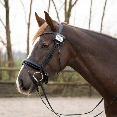 Afbeelding van QHP Nummerhouder