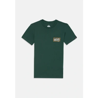 Afbeelding van Quiksilver T shirt met korte mouwen EV GOTAM Foam SS Multi 16