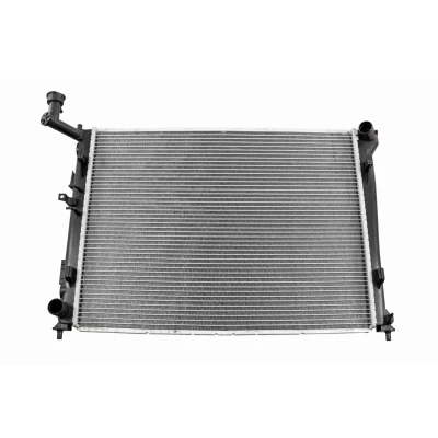 Afbeelding van Radiateur ACKOJA A52 60 0004