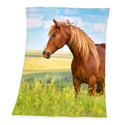 Afbeelding van Young Collection Kinderdeken Paard met motief, knuffeldeken