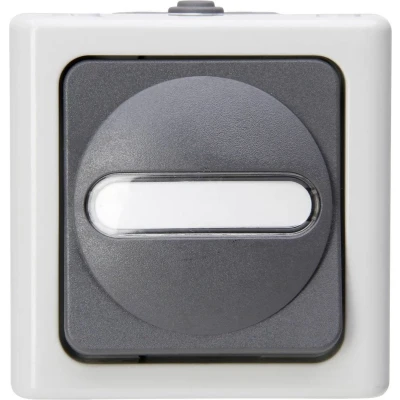 Afbeelding van Kopp 560856002 BlueElectric Compleet Knop spatwaterdicht Grijs 1 stuks