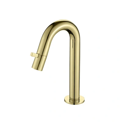 Afbeelding van Best Design Nancy toiletkraan Macine mat goud