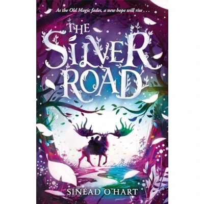 Afbeelding van The Silver Road: a thrilling adventure filled with myth and magic