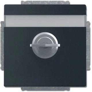 Afbeelding van Abb busch jaeger tekstwandcontactdoos ra kv centraalplaat kd slot inbouw f matzw 2cka002018a1567