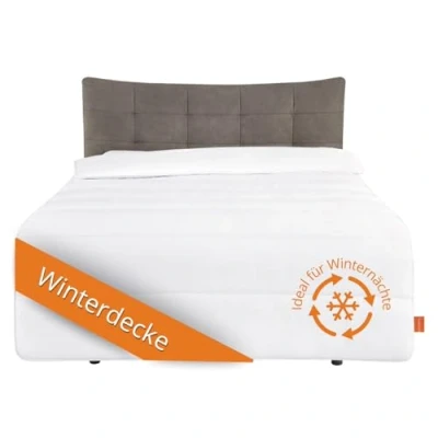 Afbeelding van sleepling Spaardeken, superwarm winterdekbed, met 1.685 g vulgewicht, 100% microvezel, Ökotex, wasbaar op 60 graden, 135 x 200 cm