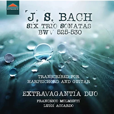 Afbeelding van Francesco Molmenti &amp; Luigi Accardo J.S. Bach: Six Trio Sonatas, Bwv 525 530 (CD)