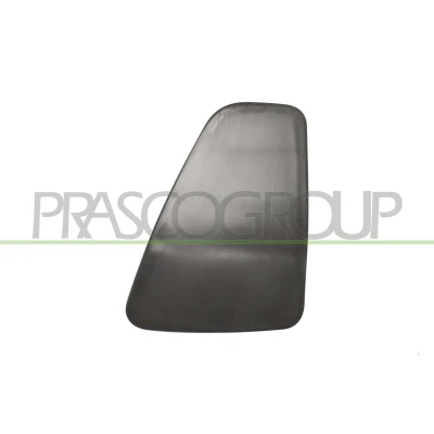 Afbeelding van PRASCO FT0322163 Decoratief paneel, achterlicht FIAT: 500 Hatchback (312) 1.3 D Multijet 2016