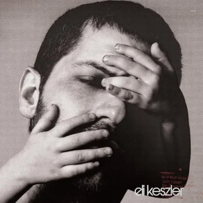 Afbeelding van Eli Keszler (LP)