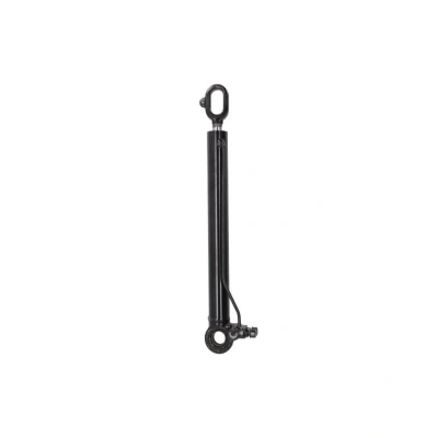 Afbeelding van Dt Spare Parts Cabine kantelcilinder 3.84026