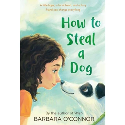 Afbeelding van How to Steal a Dog