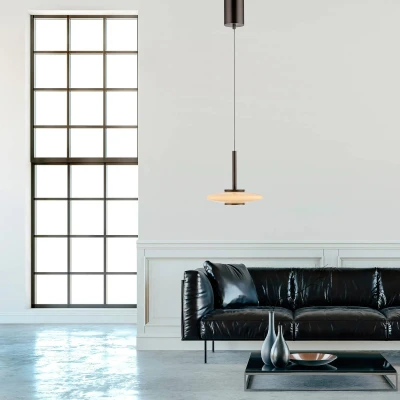 Afbeelding van Paul Neuhaus Design hanglamp Pure Vitrum donkerbruin 2053 34