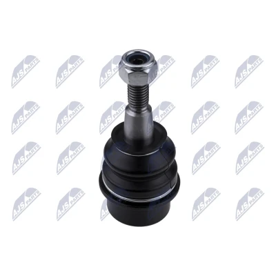 Afbeelding van Fuseekogel NTY ZSD CH 036