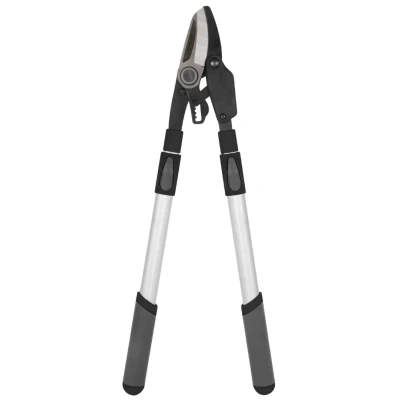 Afbeelding van Talen Tools Takkenschaar telescopisch 71 104cm SQ11