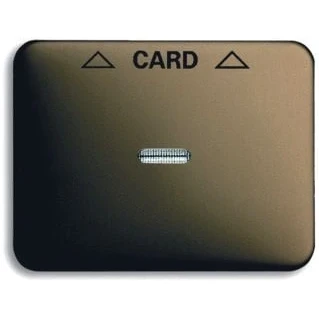 Afbeelding van BJ 1792 21 101 CPL FOR CARD SCHAK A BR