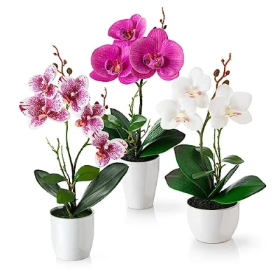 Afbeelding van PASCH® Kunstbloemen in pot (35 cm), set van 3 kunstorchideeën, kunstmatig afgestemde arrangement hoogglans keramische potten, decoratieve bloemen, kunstorchideeën (wit rosé)