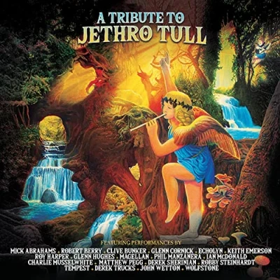 Afbeelding van V/A A Tribute To Jethro Tull (2 LPs)