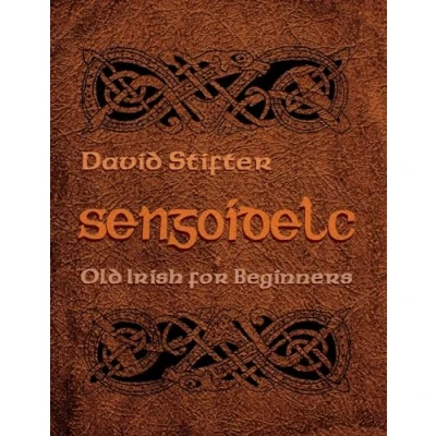 Afbeelding van Sengoidelc: Old Irish for Beginners
