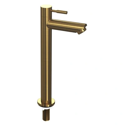 Afbeelding van INK Fonteinkraan 26.9cm koudwater messing Brushed mat goud