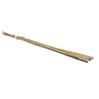 Afbeelding van WERKA PRO Set van 6 bamboestokken H 120 cm (Ø 12 14 cm)