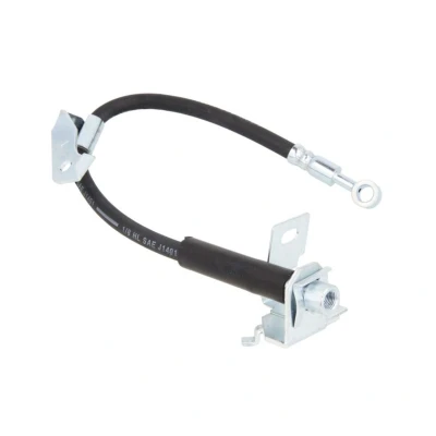 Afbeelding van Remslang DELPHI LH7097