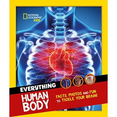 Afbeelding van Everything: Human Body: Eye Opening Facts and Photos to Tickle Your Brain!