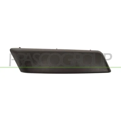Afbeelding van Sier / beschermingspaneel, bumper PRASCO RN4241203