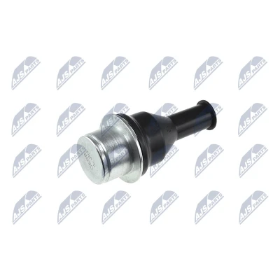 Afbeelding van Fuseekogel NTY ZSD CH 027