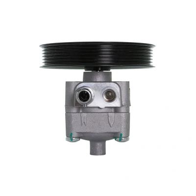 Afbeelding van Lauber Servopomp 55.9681