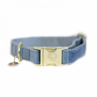 Afbeelding van Kentucky Dogwear Velvet Hondenhalsband Stijlvol ontwerp Licht Blauw Maat M 36 52 cm Hondenriem