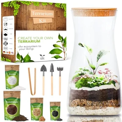 Afbeelding van Complete set voor het creëren van een ecosysteem in glas, terrarium, starterset aanleggen biotoop ain plant (kit met fles)