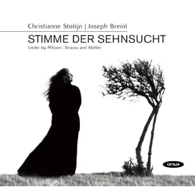 Afbeelding van Christianne Stotijn &amp; Joseph Breinl Stimme der Sehnsucht: Lieder by Pfitzner, Strauss and Mahle (CD)
