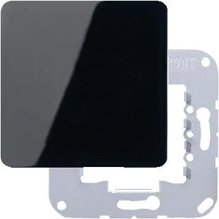 Afbeelding van Jung CD500 Schakelelement/Centrale Plaat CD594 0SW E2AP8