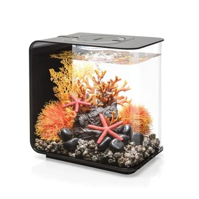 Afbeelding van biOrb Flow 15 LED aquarium in zwart