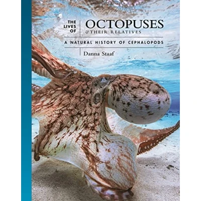 Afbeelding van The Lives of Octopuses and Their Relatives: A Natural History Cephalopods: 8