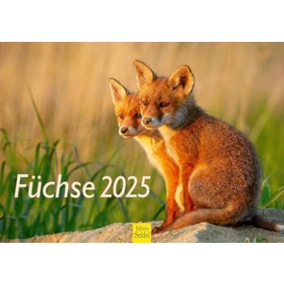 Afbeelding van Edition Seidel Premium kalender vossen 2025, formaat DIN A4, wandkalender, dierenkalender, vos, dieren, wilde bosdieren, roofdieren, natuur