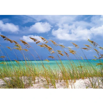 Afbeelding van Komar Fotobehang Ocean Breeze 368x254 cm (breedte x hoogte), inclusief pasta (set)