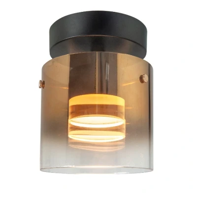 Afbeelding van Moderne Plafondlamp Goud glas 1 Lichts Salerno