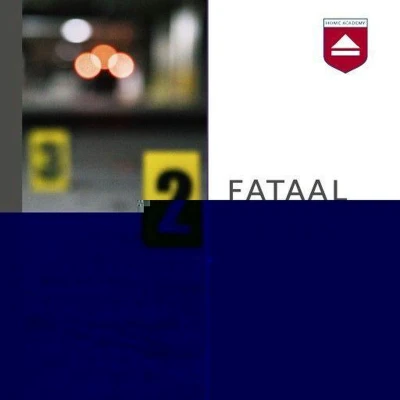 Afbeelding van Fataal geweld