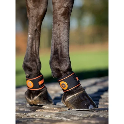 Afbeelding van LeMieux Conductive Magno Boots voor spronggewricht