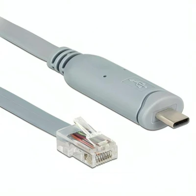 Afbeelding van USB C naar RJ45 kabel Delock