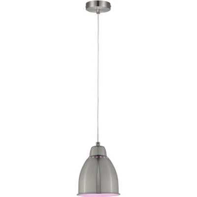 Afbeelding van Paulmann 79765 Neordic Hanglamp E27 IJzer (geborsteld)