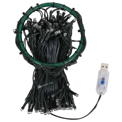 Afbeelding van Kerstboomverlichting met 250 LED&#039;s net cm