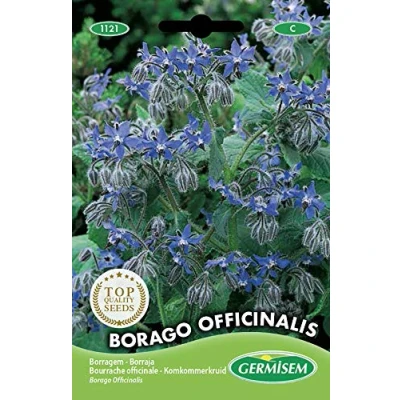 Afbeelding van Germisem Borago Officinalis Bernagie Zaden, 2 g